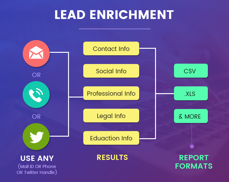 Search Social Profiles & Lead Enrichment Tool