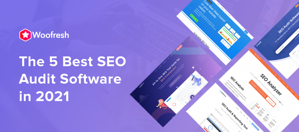 SEO - Audit - Software