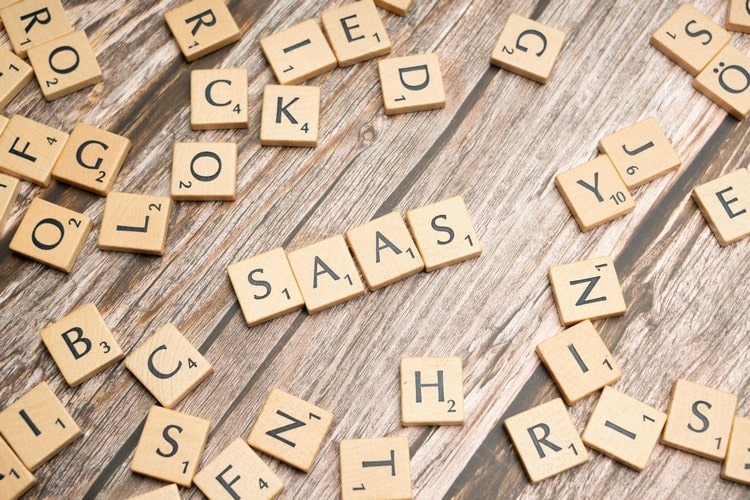 SaaS Business Model